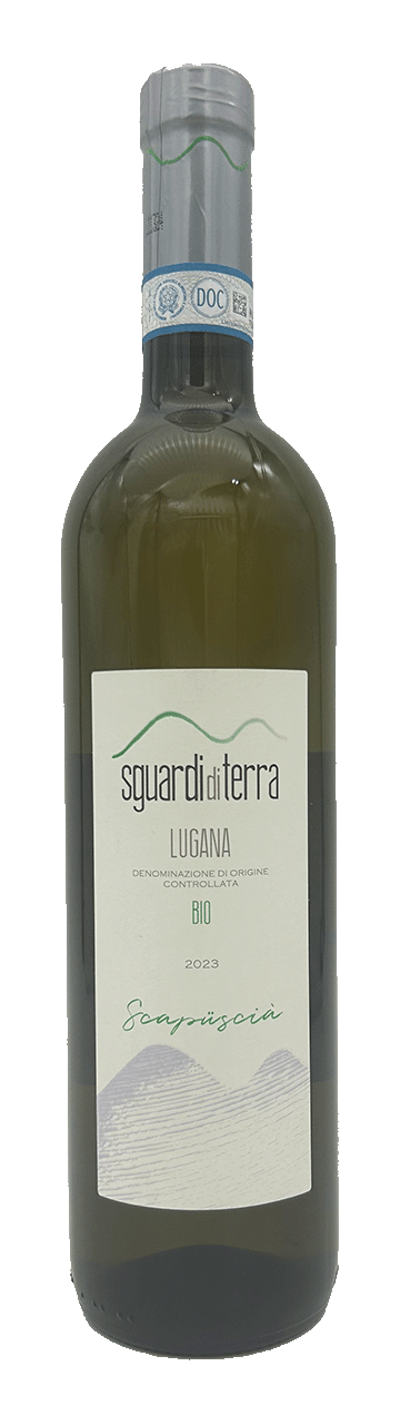 Sguardi di Terra — foto 5