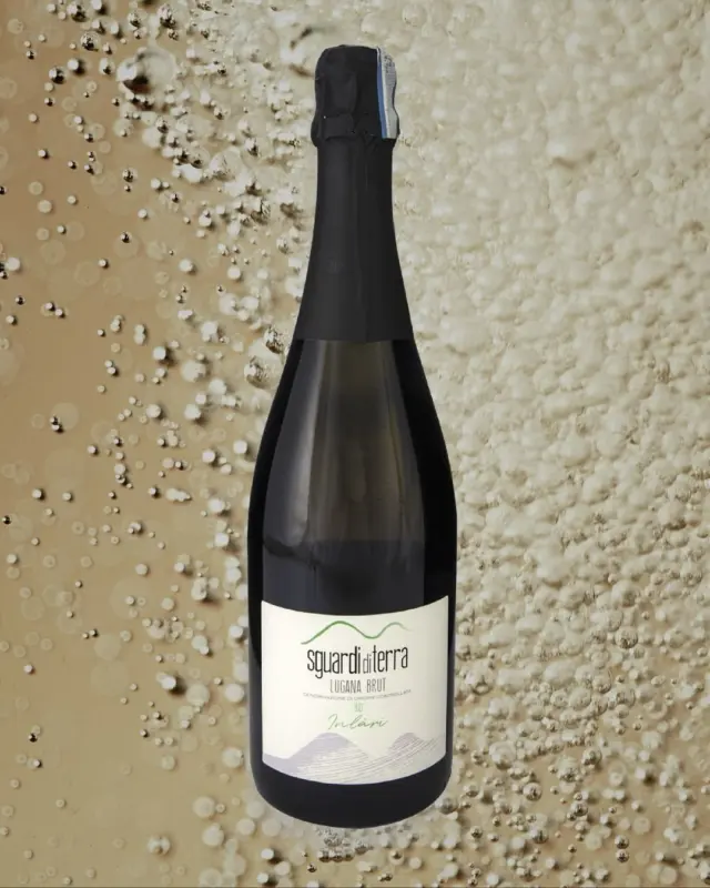 ✨Inlari, il nostro Lugana Brut  Spumante Metodo Classico.
Da uve Turbiana, rifermentato in bottiglia per 24 mesi sui lieviti.
Profumi di agrumi, pesca gialla, fiori bianchi e note minerali.
Fresco, vivace e cremoso, con una piacevole acidità.

✨Inlari, our Lugana Brut Classic Method
Made from Turbiana grapes and bottle-fermented for 24 months on the lees.
Aromas of citrus, yellow peach, white flowers and mineral hints.
Fresh, lively and creamy on the palate, with a pleasant acidity.

#SguardiDiTerra #LuganaBrut #MetodoClassico #VinoBiologico #Brut