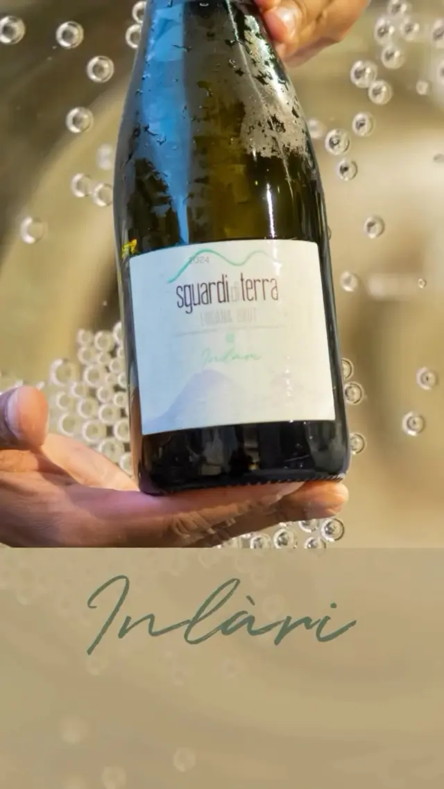 ✨ Inlari. Leggero come le bollicine, libero come l’aria.

#Inlari #LuganaBrut #SguardiDiTerra #MetodoClassico #Bollicine